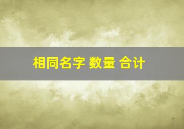 相同名字 数量 合计